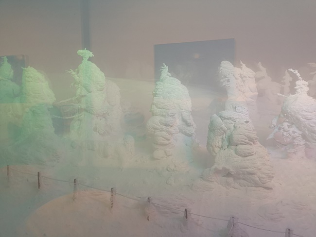 【2020藏王樹冰點燈時間】超壯觀樹冰雪怪,點燈季節一生要來一次! @小環妞 幸福足跡