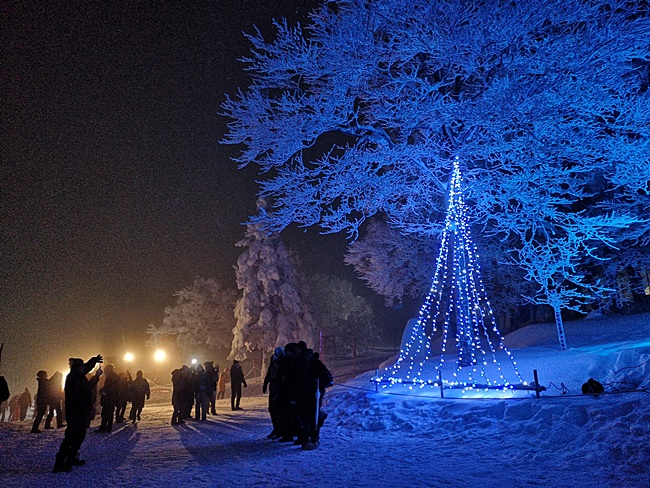 【2020藏王樹冰點燈時間】超壯觀樹冰雪怪,點燈季節一生要來一次! @小環妞 幸福足跡