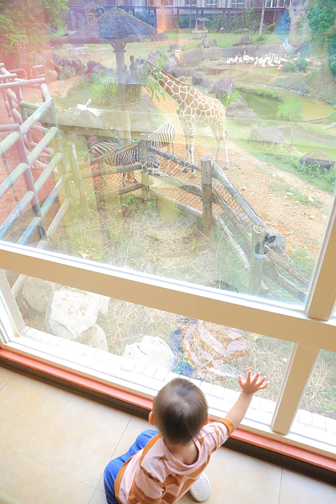 【六福莊生態度假旅館訂房攻略】長頸鹿就在房間的窗外,小朋友愛慘,來去動物園住一晚 @小環妞 幸福足跡