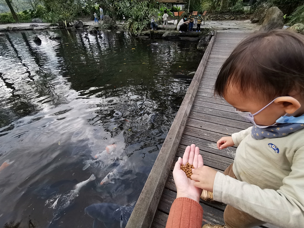 【三富農場紫森林旅宿】宜蘭很夯的親子民宿,餵魚餵鴨餵到飽,DIY彩繪,溪邊抓蝦 @小環妞 幸福足跡